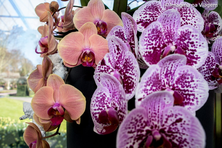 Keukenhof © Imagina na Viagem