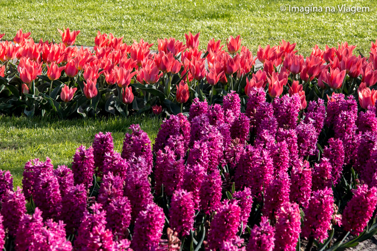 Keukenhof © Imagina na Viagem