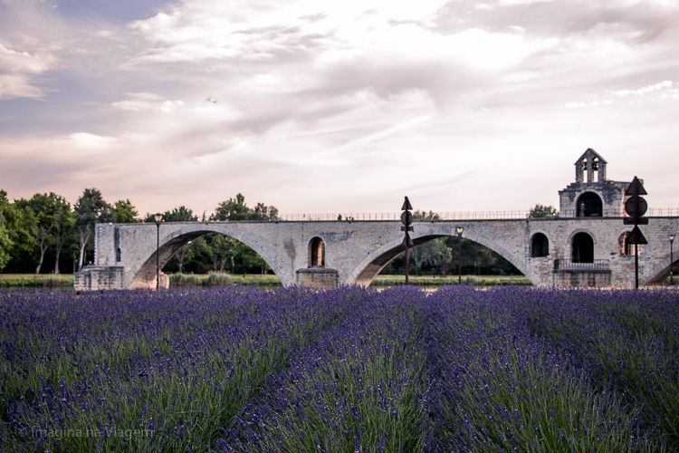 Pont Saint Bénezet - O que fazer em Avignon? © Imagina na Viagem