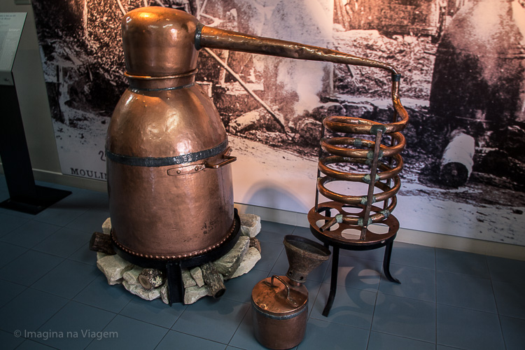 Museu da Lavanda - Provence © Imagina na Viagem