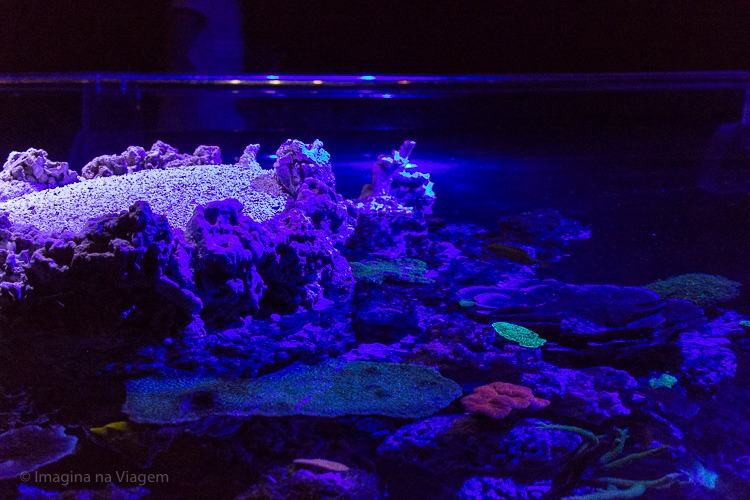 Museu Oceanográfico de Mônaco © Imagina na Viagem