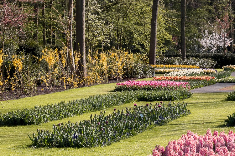 Keukenhof 2018 © Imagina na Viagem