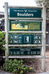 Boulders Beach - a "praia dos pinguins" em Cape Town. © Imagina na Viagem
