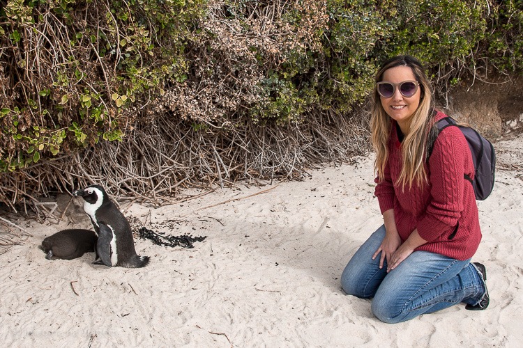 Boulders Beach - a "praia dos pinguins" em Cape Town. © Imagina na Viagem