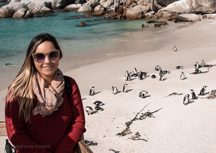 O que fazer em Cape Town © Imagina na Viagem