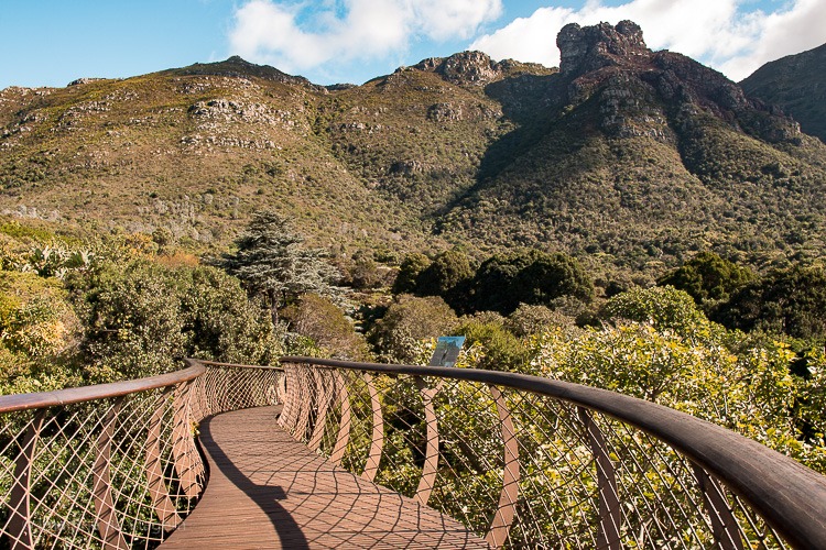 O que fazer em Cape Town © Imagina na Viagem