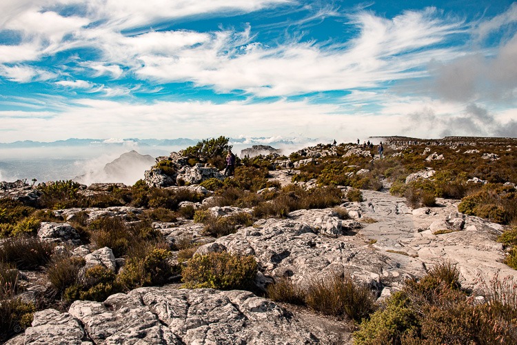 Table Mountain © Imagina na Viagem