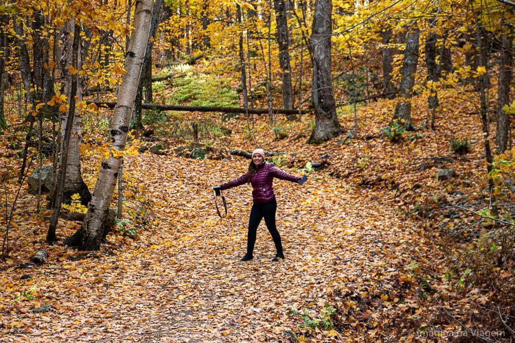 Parc de la Gatineau © Imagina na Viagem