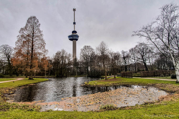 O que fazer em Rotterdam © Imagina na Viagem