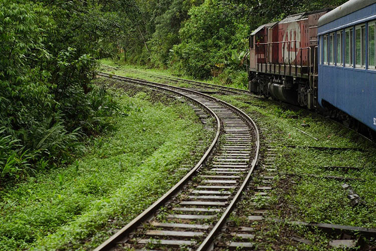 Trem entre Curitiba e Morretes passando pela Serra do Mar