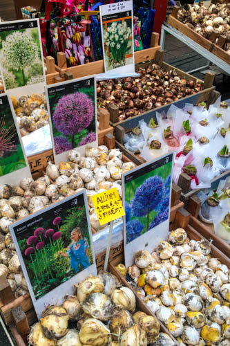 Bloemenmarkt às margens do canal Singel, no centro de Amsterdam