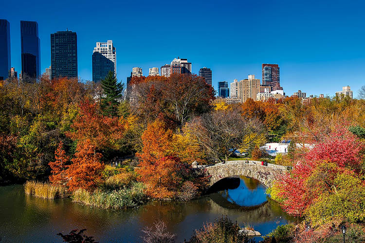 No outono, a vegetação no Central Park ganha tons de laranja e amarelo - outono em Nova York